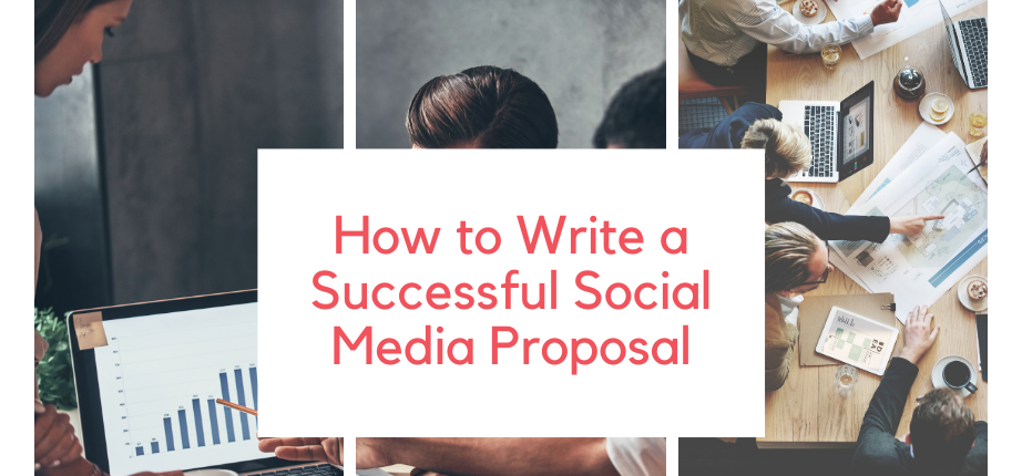 AgencyVista_Successful_SocialMedia_Proposal-2
