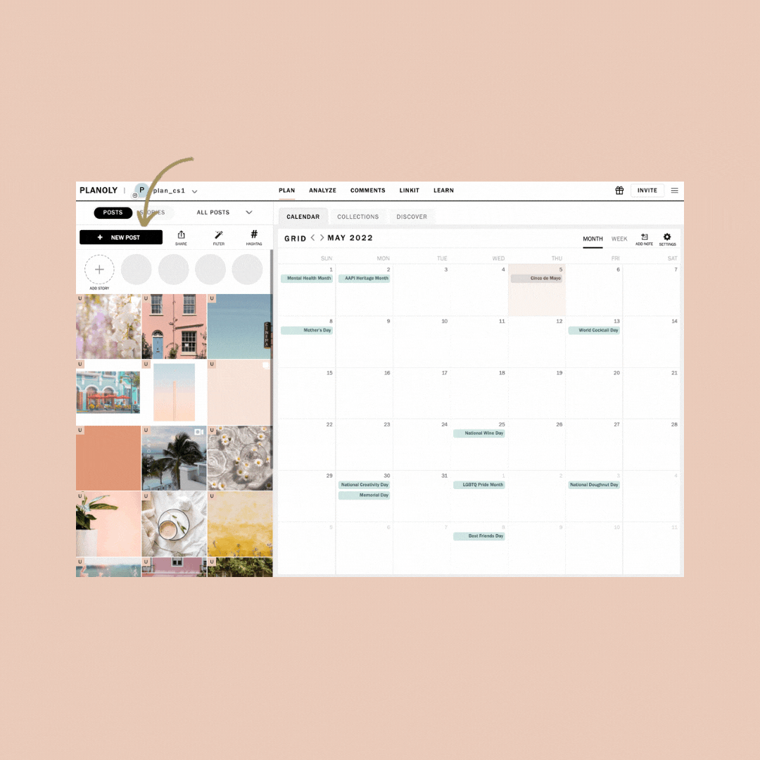 Schedule Instagram Reels for Free with Planoly